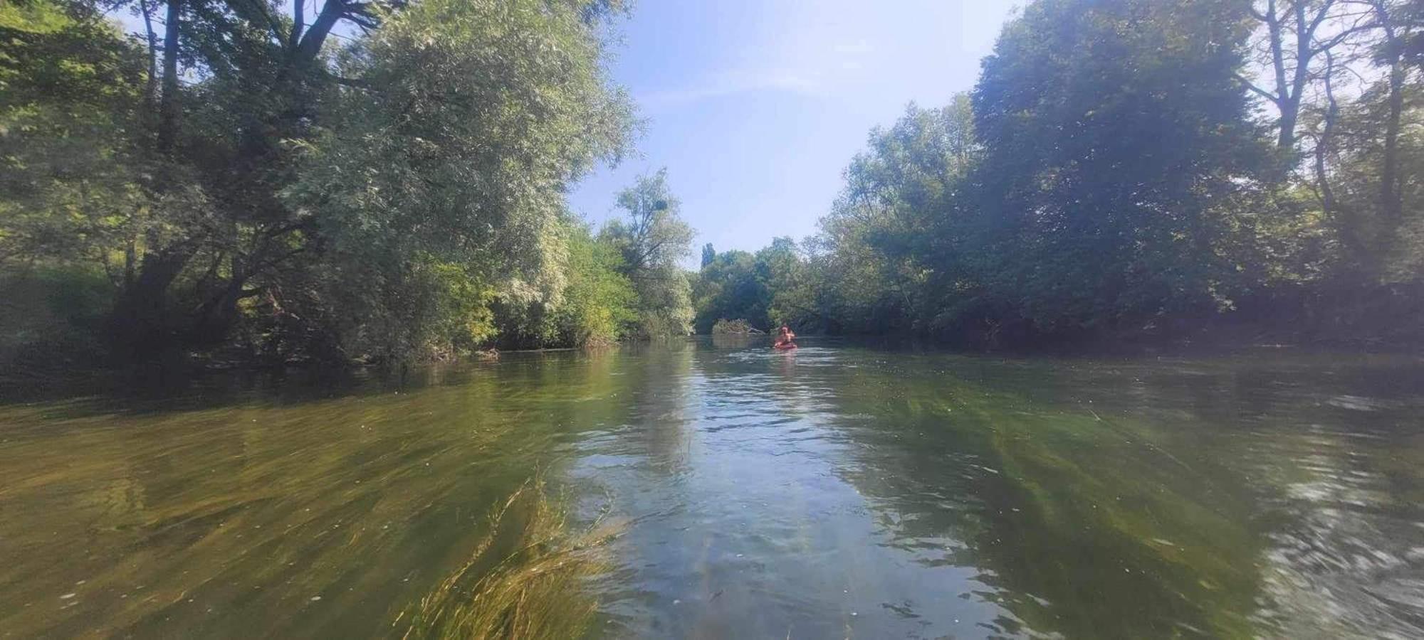 Detente A Sorques Montigny-sur-Loing Luaran gambar