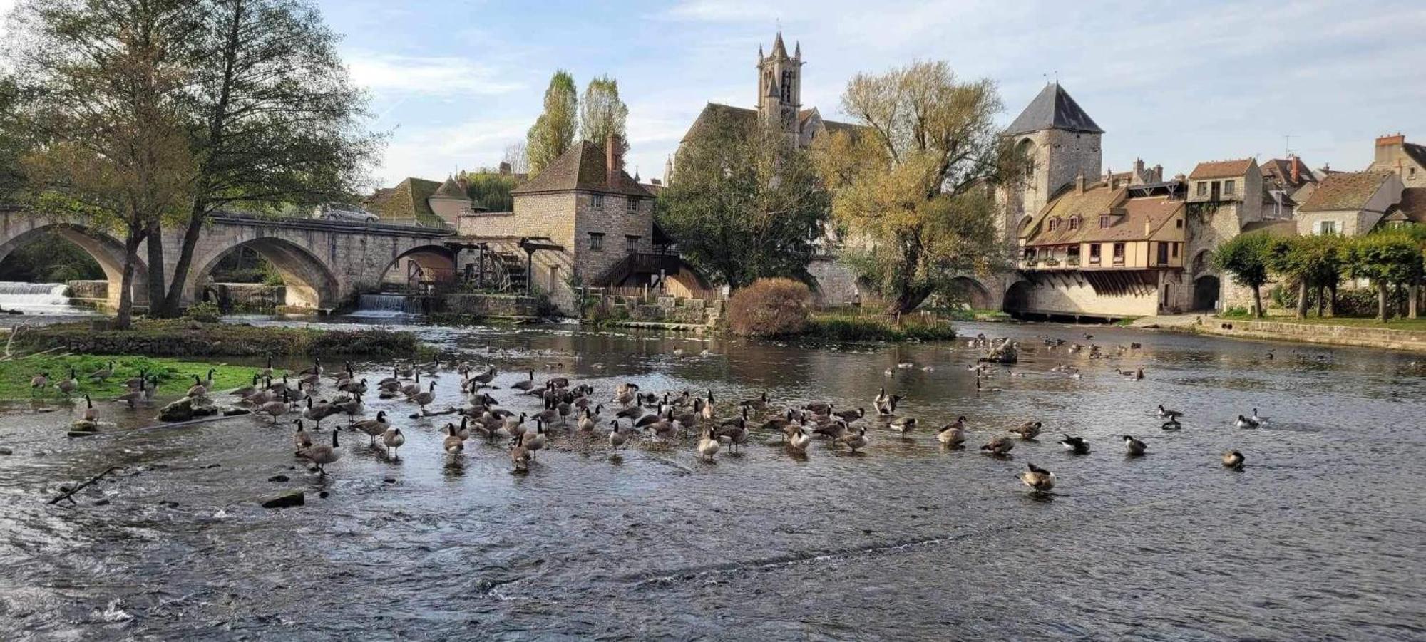 Detente A Sorques Montigny-sur-Loing Luaran gambar
